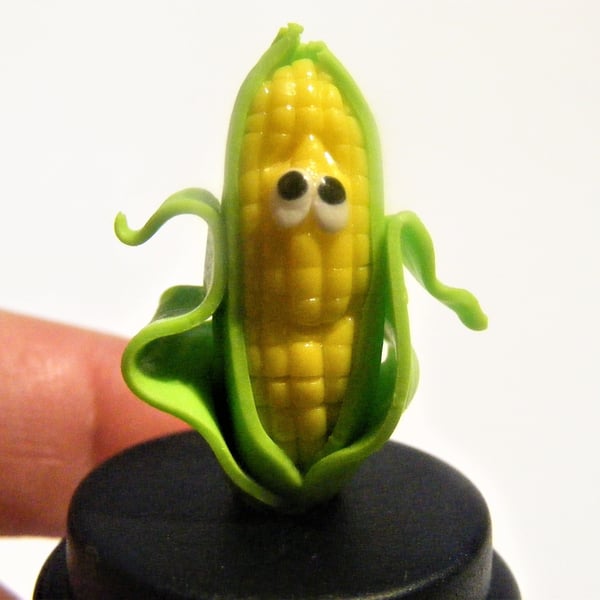 Pet Corn Cob, Pet Corn on the cob, Sweetcorn, Corn ear, Maize