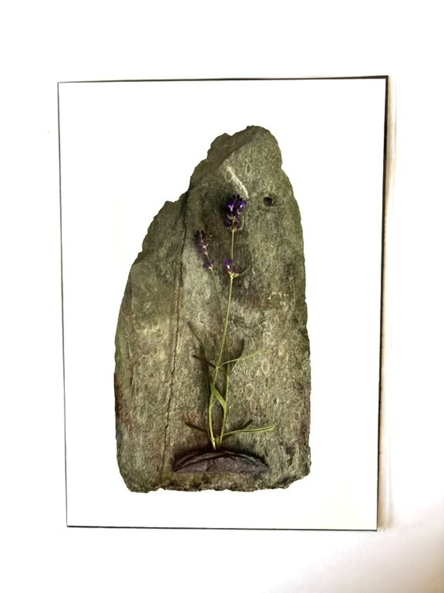 Print - Assemblage - Rose and Amy - Inspired by Witch Trials