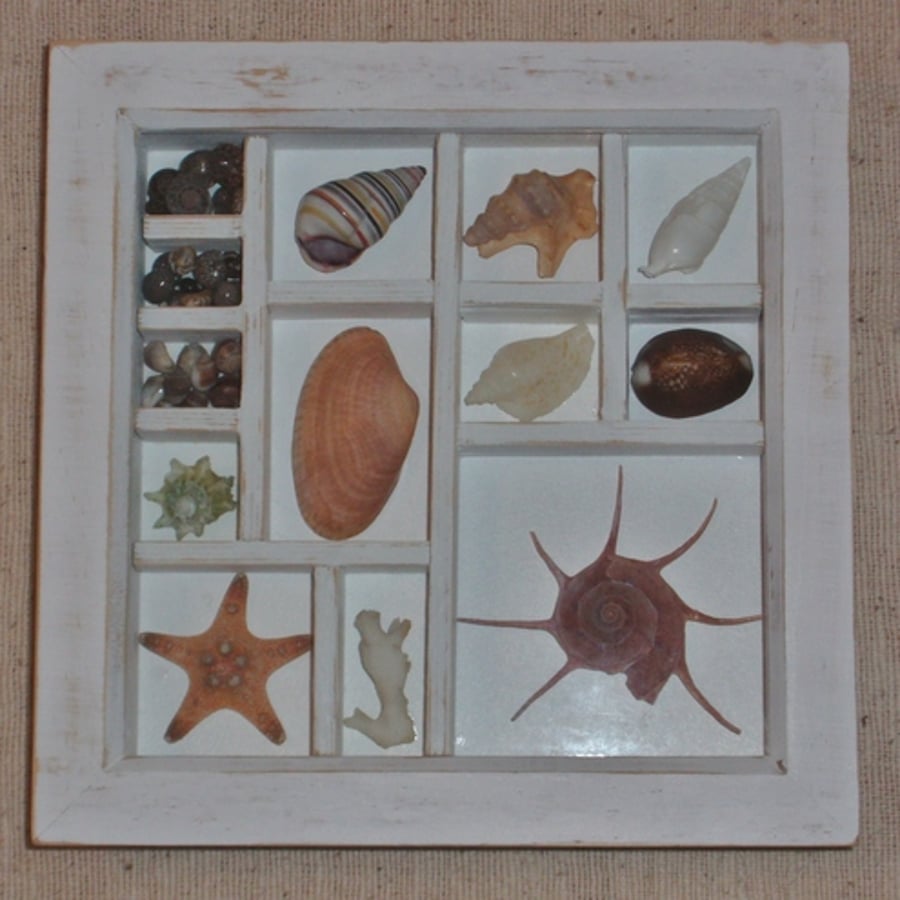 SEASIDE MEMORIES SHELL COLLAGE