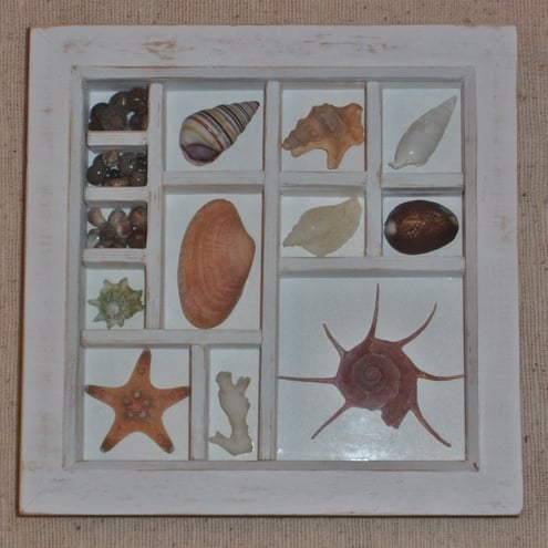 SEASIDE MEMORIES SHELL COLLAGE