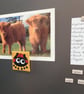 Ladybird Magnet - Image 8