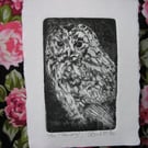Sweet little tawny owl drypoint print 