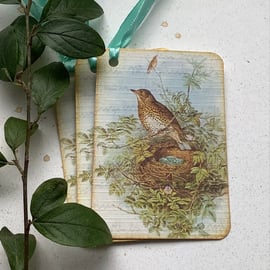 GIFT TAGS, Vintage -style. ( set of 3 ) Song Thrush . Nature . Spring.