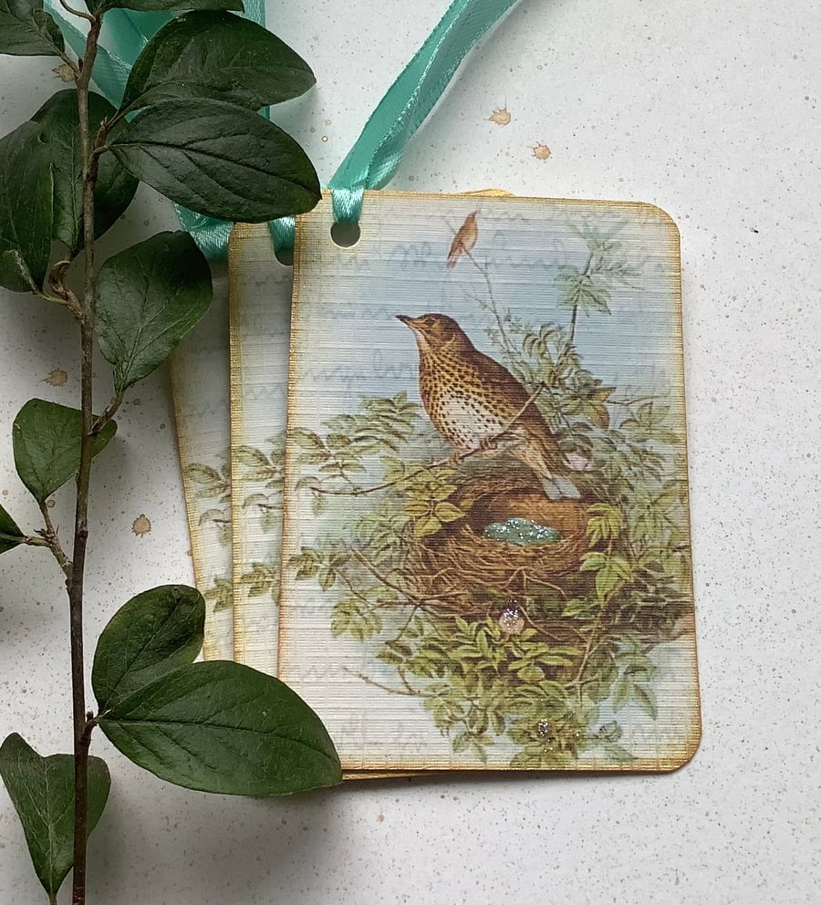 GIFT TAGS, Vintage -style. ( set of 3 ) Song Thrush . Nature . Spring.