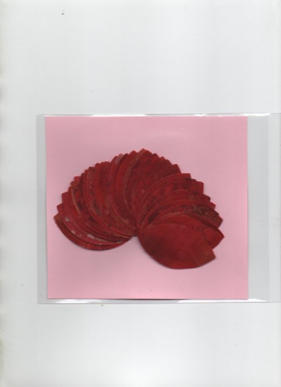 ChrissieCraft 32 Fossil Ferns fabric die-cut RED-ORANGE Leaves for APPLIQUE