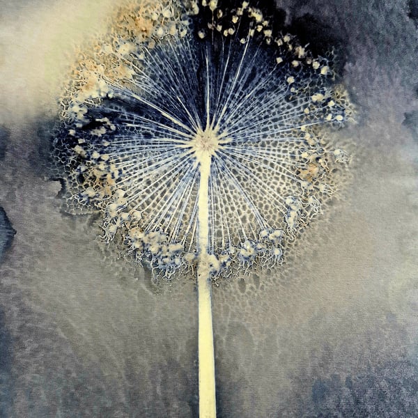Soapy Allium Cyanotype Card
