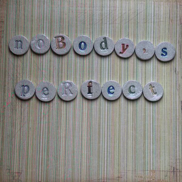 Fridge Magnets 'Nobody's Perfect'