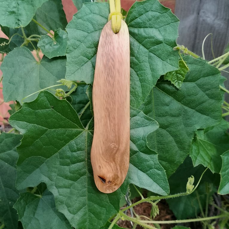 Small Linden (Lime) Wood Pendant