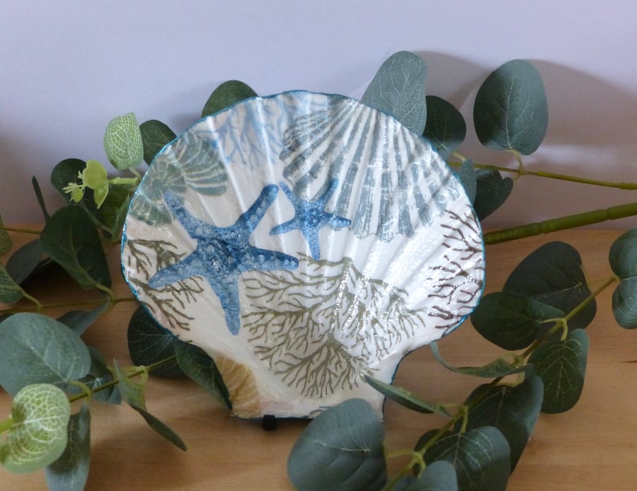 Scallop Shell Trinket Dish