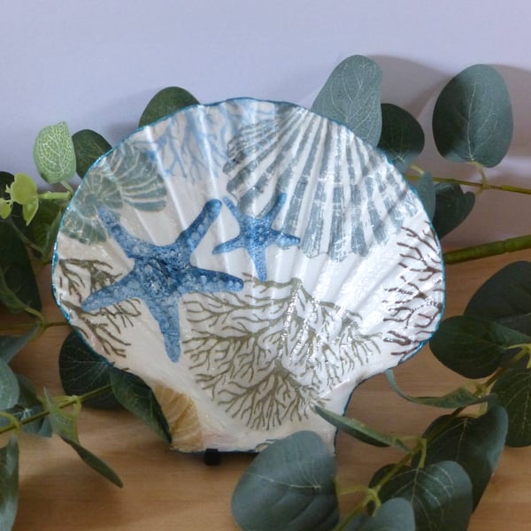 Scallop Shell Trinket Dish