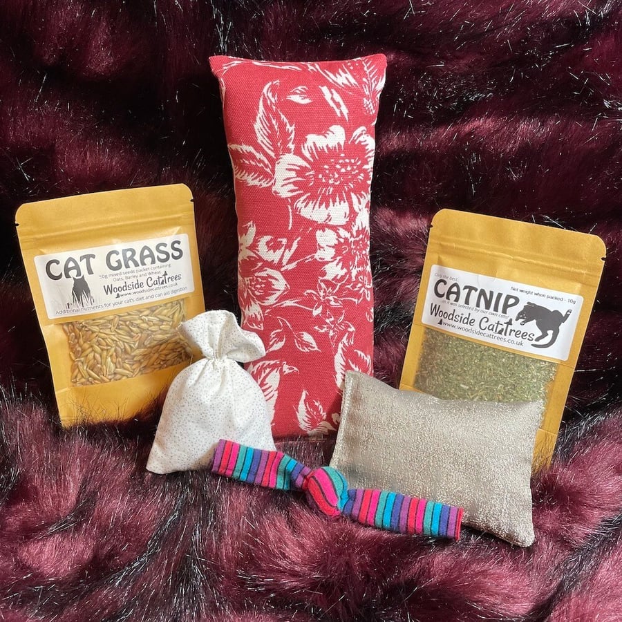 Catnip cat toy gift box - Cat gifts. Christmas gift for cats