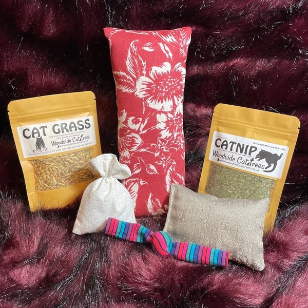 Catnip cat toy gift box - Cat gifts. Christmas gift for cats