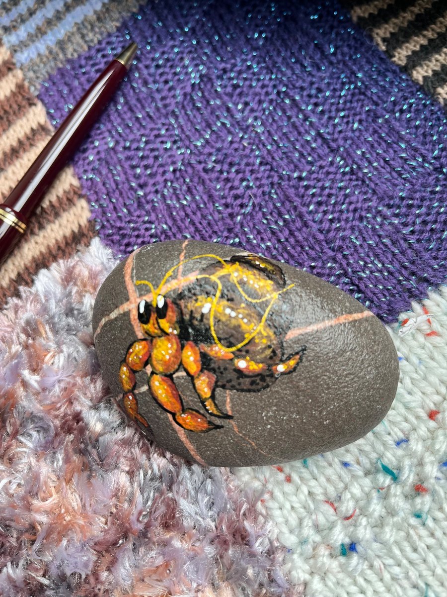 Hermit  Crab Hand painted and varnished paper weight stone 