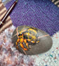 Hermit  Crab Hand painted and varnished paper weight stone 