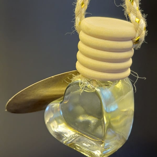 Car reed diffuser with fragrance of your choice