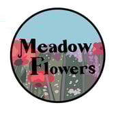 Meadow Flowers