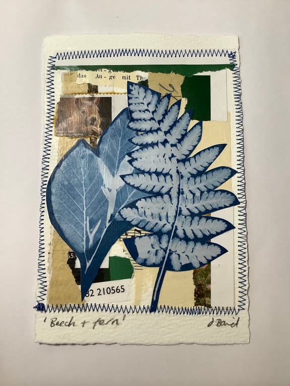 Nature inspired cyanotype. Ferns. Beech. Plants. Art. Original 
