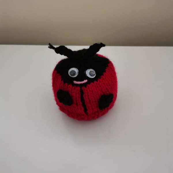 Hand Knitted Ladybird Chocolate Orange Cover