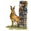 For Anita - Watercolour sketch - Hare by a Wall 