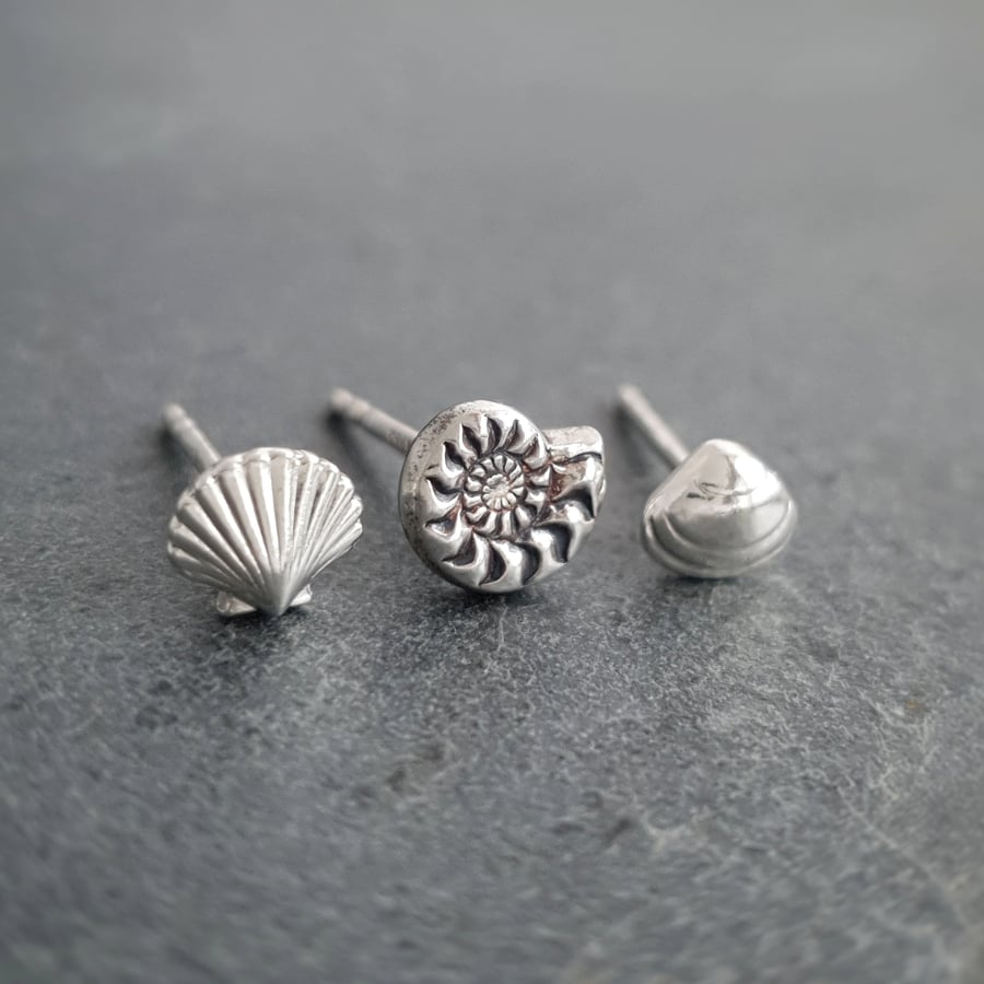 Seashell and ammonite stud earrings in hypoallergenic silver, set of three