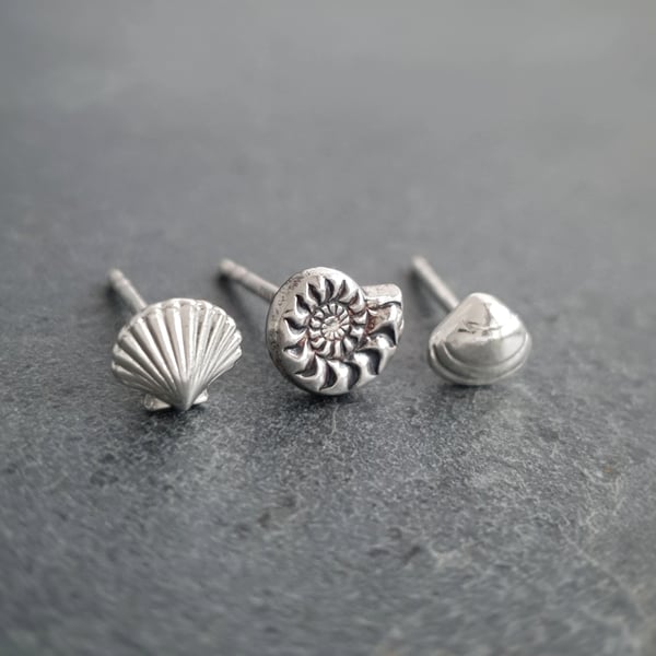Beautiful Bundle, set of hypoallergenic silver seashell ammonite stud earrings