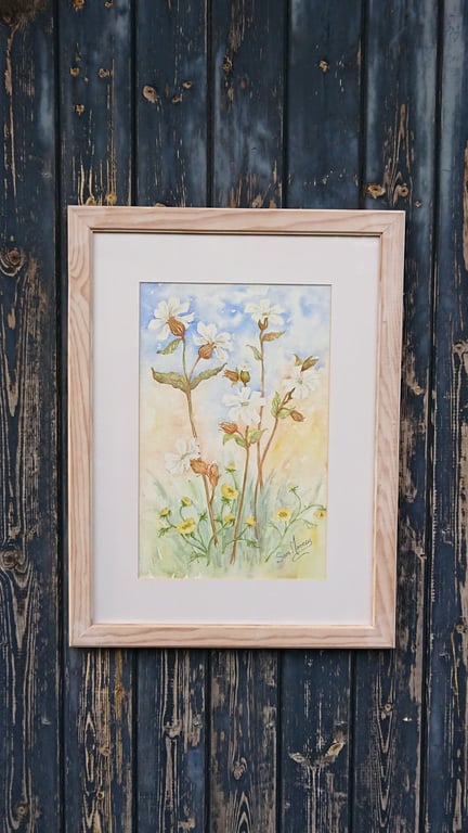 White wild flowers in Norolk original watercolour painting