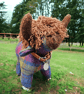Harris Tweed Highland Cow Doorstop