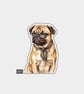 Funny Vinyl Die Cut Sticker For Adults - Cute Pug With Glasses