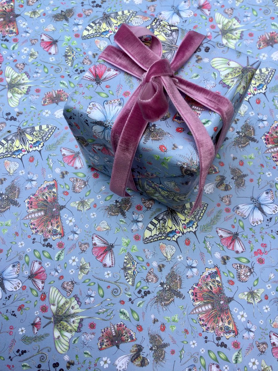 Blue butterfly gift wrap 
