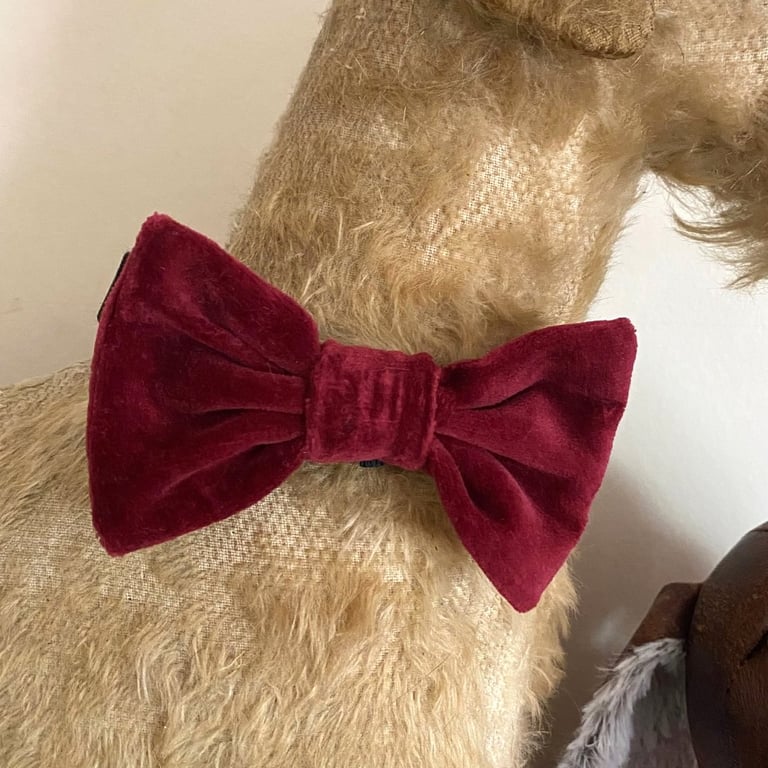  Dog Bow in Dark Red Velvet