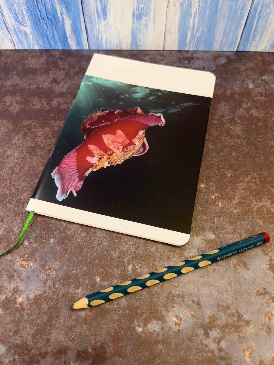 Notebook, Marine themed, A5 (ish), made from up-cycled and recycled materials.