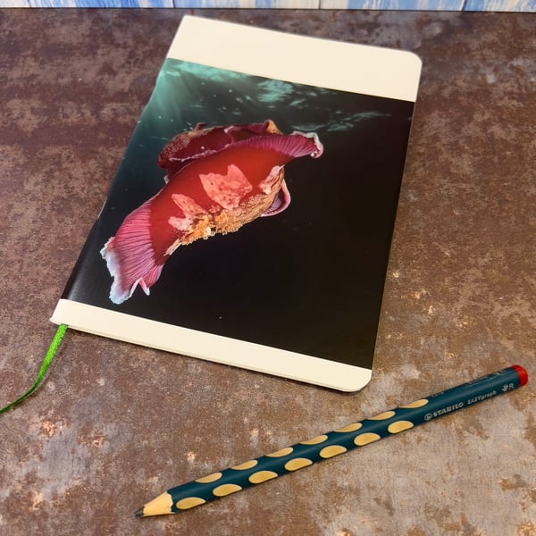Notebook, Marine themed, A5 (ish), made from up-cycled and recycled materials.