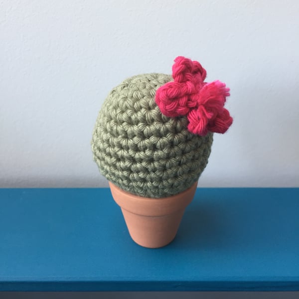 Crochet cactus with hot pink flower - khaki green