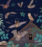British Bats Nature Guide Illustration Print - Image 2