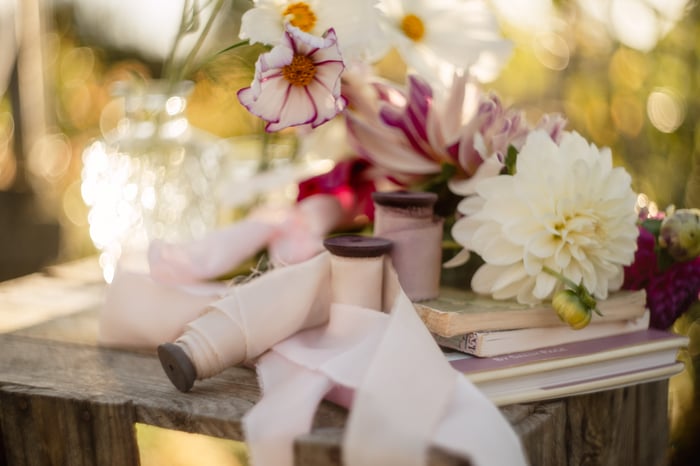 Little Bee and The Owl