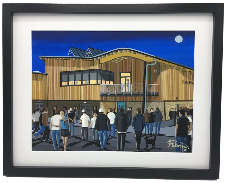 Dartford F.C, Princes Park Stadium. Framed, Football Art Print.