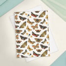 Single Scattered Butterfly Greetings Card - A6 Size
