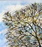 Original Watercolour Painting of Fen  Oak Tree - Image 5