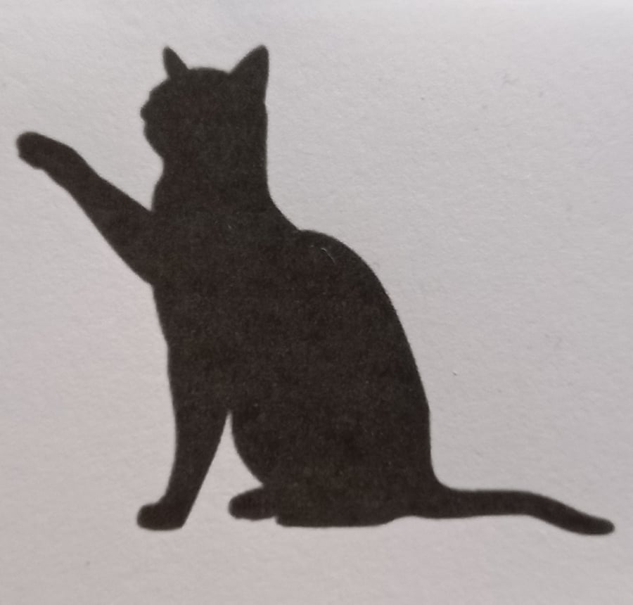 LittleBlackCat2020