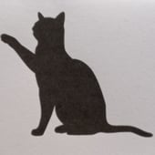 LittleBlackCat2020