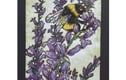 Insects
