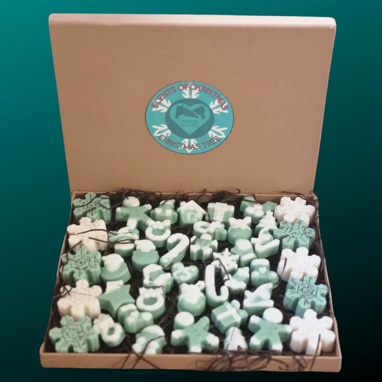 Christmas Scent Soy Wax Melt Gift Box Christmas Tree Fragrance 