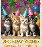 Birthday Wishes From All Of Us Cats Card A5