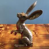 The Hippy Hare