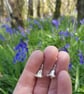 Ripe Bluebell dangle earrings - Image 9