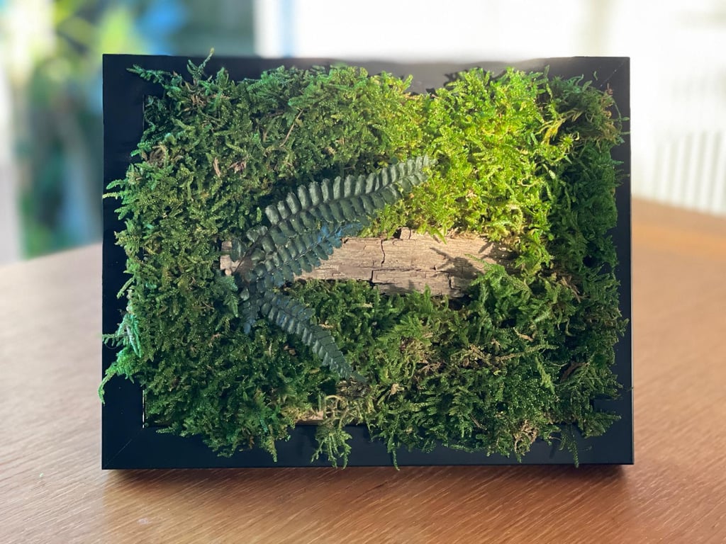Framed Forest Vignette