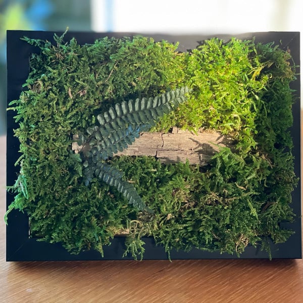 Framed Forest Vignette