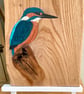Kingfisher hand-painted on Oak - Image 2