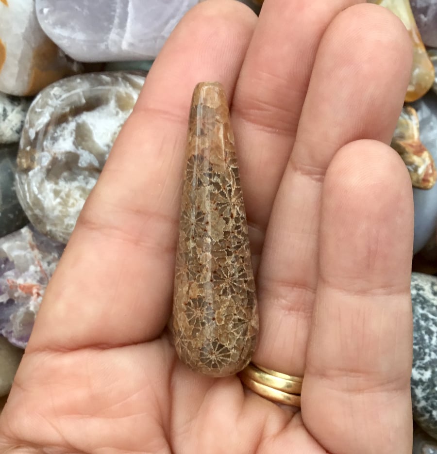 Beautiful Chrysanthemum Fossil Coral Cylindrical Drop Bead for Jewellery Designs