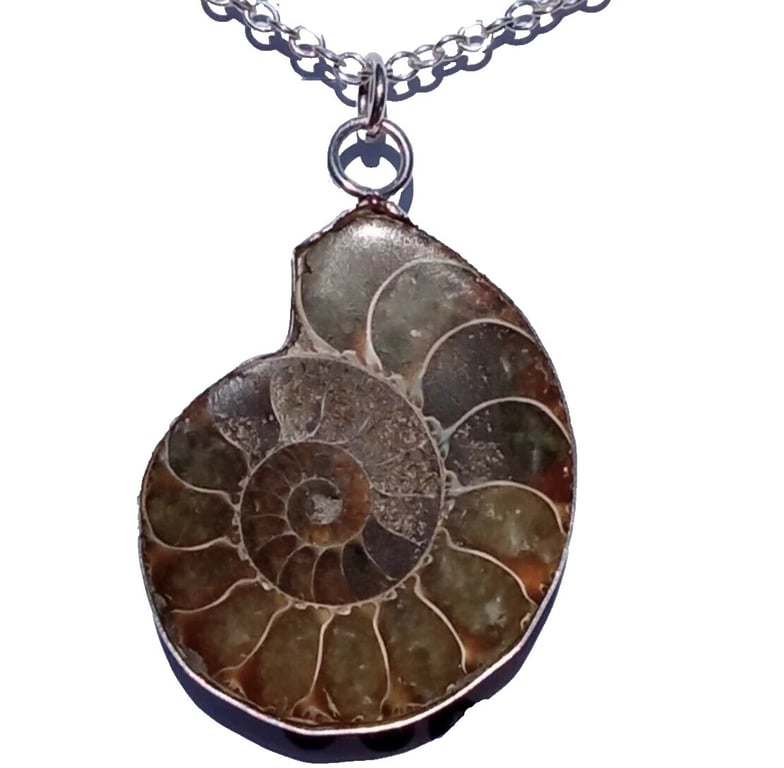 Fine & Recycled Sterling Silver Reiki Healing Large Ammonite Fossil 18" Necklace